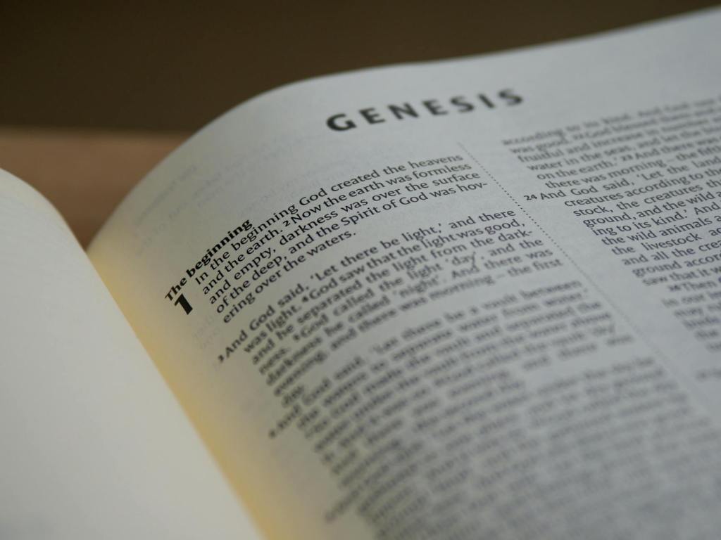 The Value of Genesis